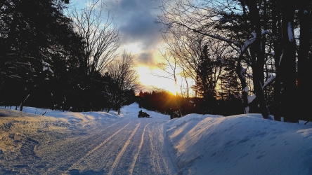 Picture of Snow at Dawn